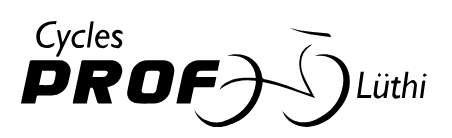 Logo Cycles Prof Lüthi
