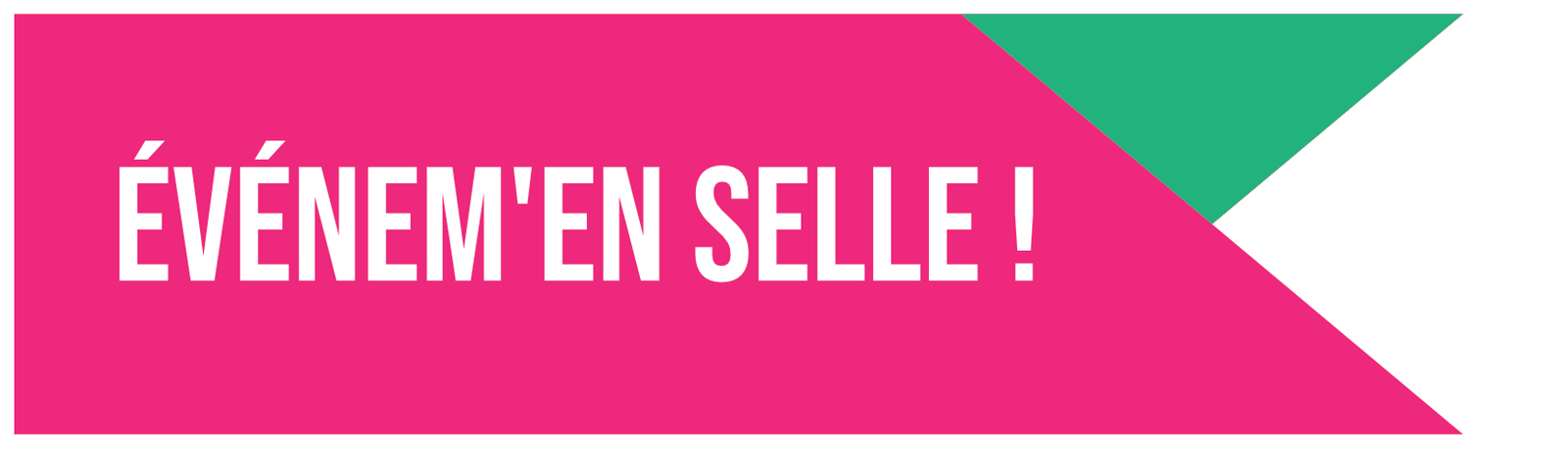 Association Événem’en Selle (Suisse)